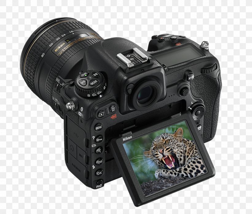 Nikon D500 Digital SLR Single-lens Reflex Camera Nikon DX Format, PNG, 874x742px, Nikon D500, Apsc, Autofocus, Camera, Camera Accessory Download Free