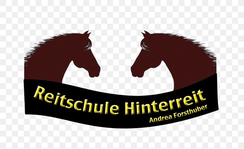 Reitschule Hinterreit, Andrea Forsthuber Mustang Vetterbach Equestrian Anthering, PNG, 700x502px, Mustang, Animal, Brand, Education, Equestrian Download Free