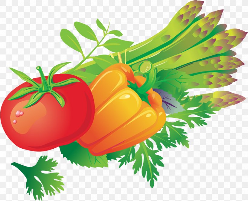 Tomato Vegetable Euclidean Vector, PNG, 971x787px, Tomato, Concepteur, Diet Food, Food, Fruit Download Free