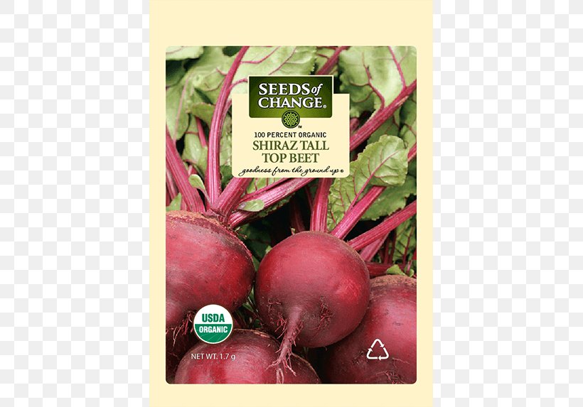 Chard Organic Food Beetroot Radish, PNG, 573x573px, Chard, Beet, Beetroot, Food, Health Download Free