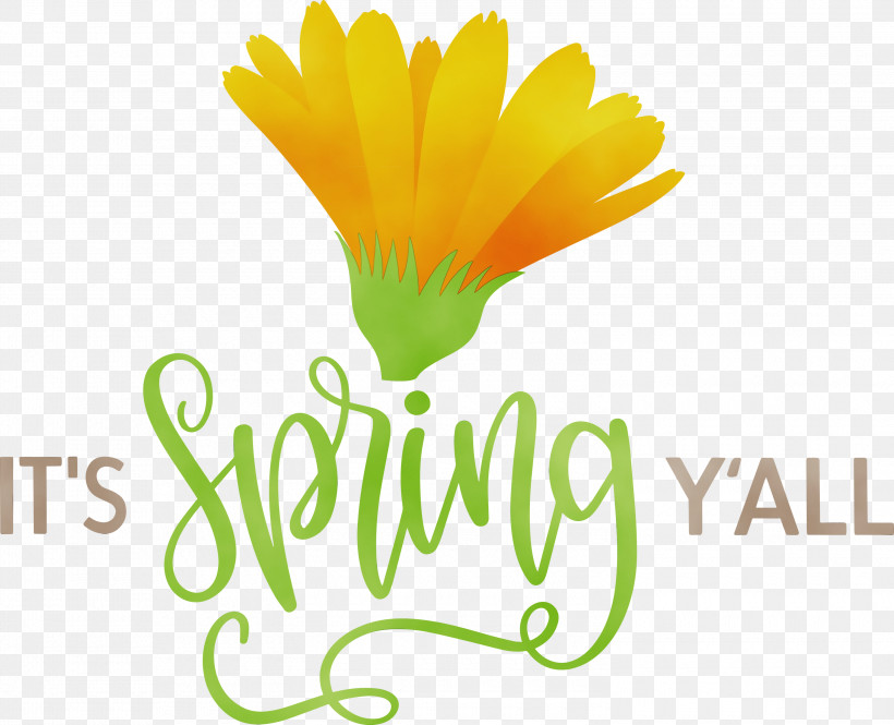 Daisy Family Flower Logo Petal Yellow, PNG, 3000x2436px, Spring, Common Daisy, Daisy Family, Flower, Happiness Download Free