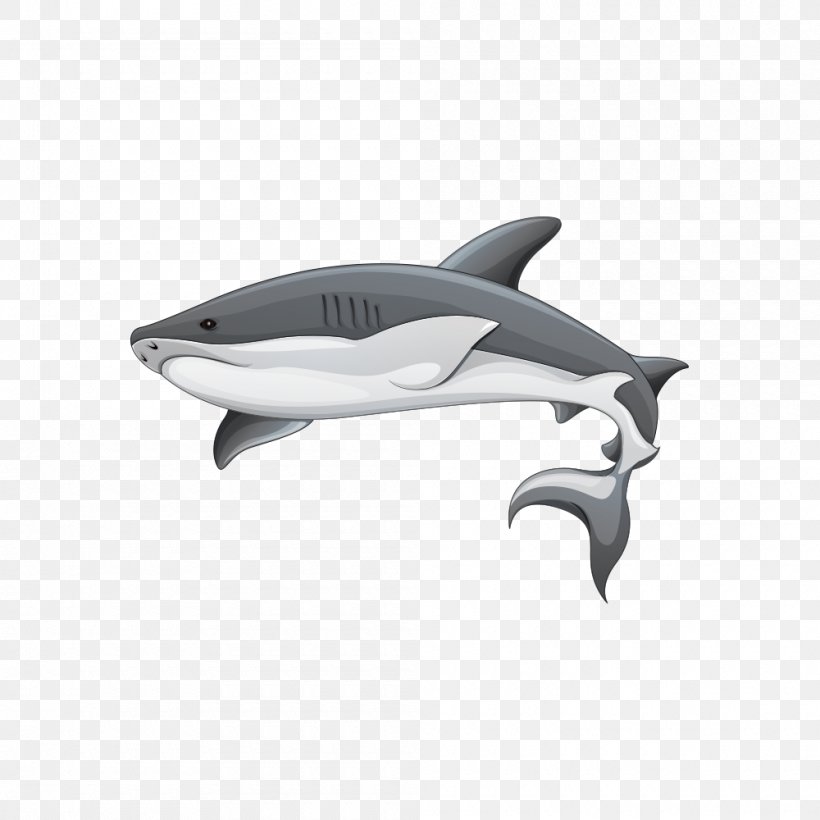 Great White Shark Illustration, PNG, 1000x1000px, Shark, Automotive Design, Bonnethead, Diagram, Dolphin Download Free