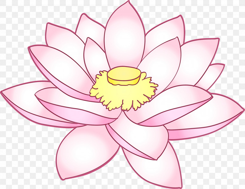 Lotus, PNG, 3000x2320px, Lotus, Aquatic Plant, Flower, Lotus Family, Paint Download Free