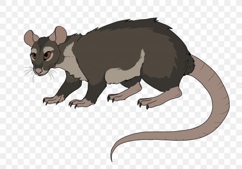 Mouse Common Opossum Rat Rodent Mammal, PNG, 1024x717px, Mouse, Animal, Animal Figure, Carnivora, Carnivoran Download Free