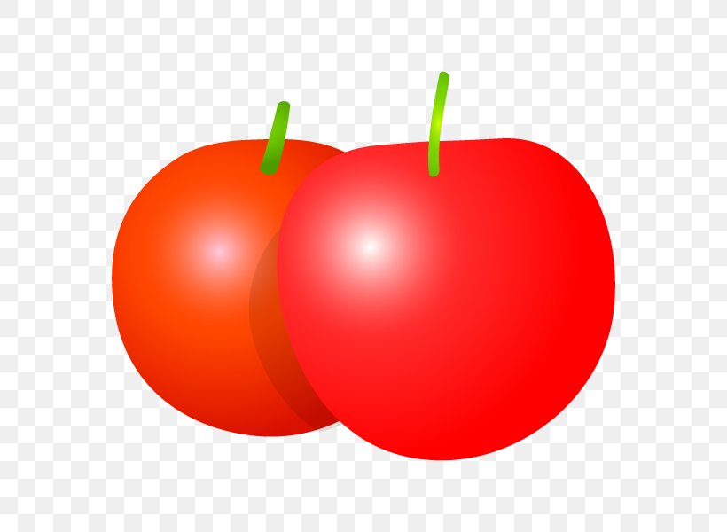Tomato Natural Foods Apple RED.M, PNG, 600x600px, Tomato, Apple, Cherry, Food, Fruit Download Free
