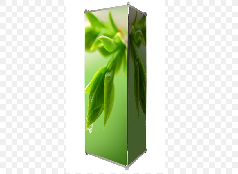 Web Banner Roll-up Banner Advertising Rectangle, PNG, 600x600px, Web Banner, Advertising, Aluminium, Green, Leaf Download Free