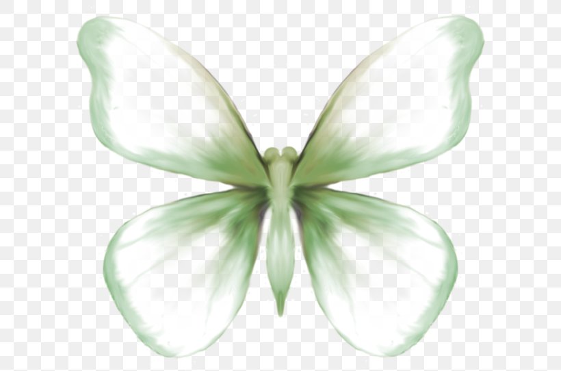 Butterfly Moth Symmetry Petal, PNG, 600x542px, Butterfly, Flower, Insect, Invertebrate, Moth Download Free
