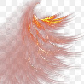 Feathers - Feather Clip Art PNG