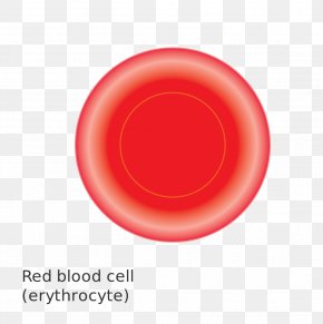 Red Cancer Cell Cartoon - Red Blood Cell PNG