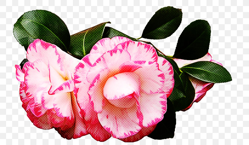 Artificial Flower, PNG, 744x480px, Flower, Artificial Flower, Camellia, Cut Flowers, Impatiens Download Free