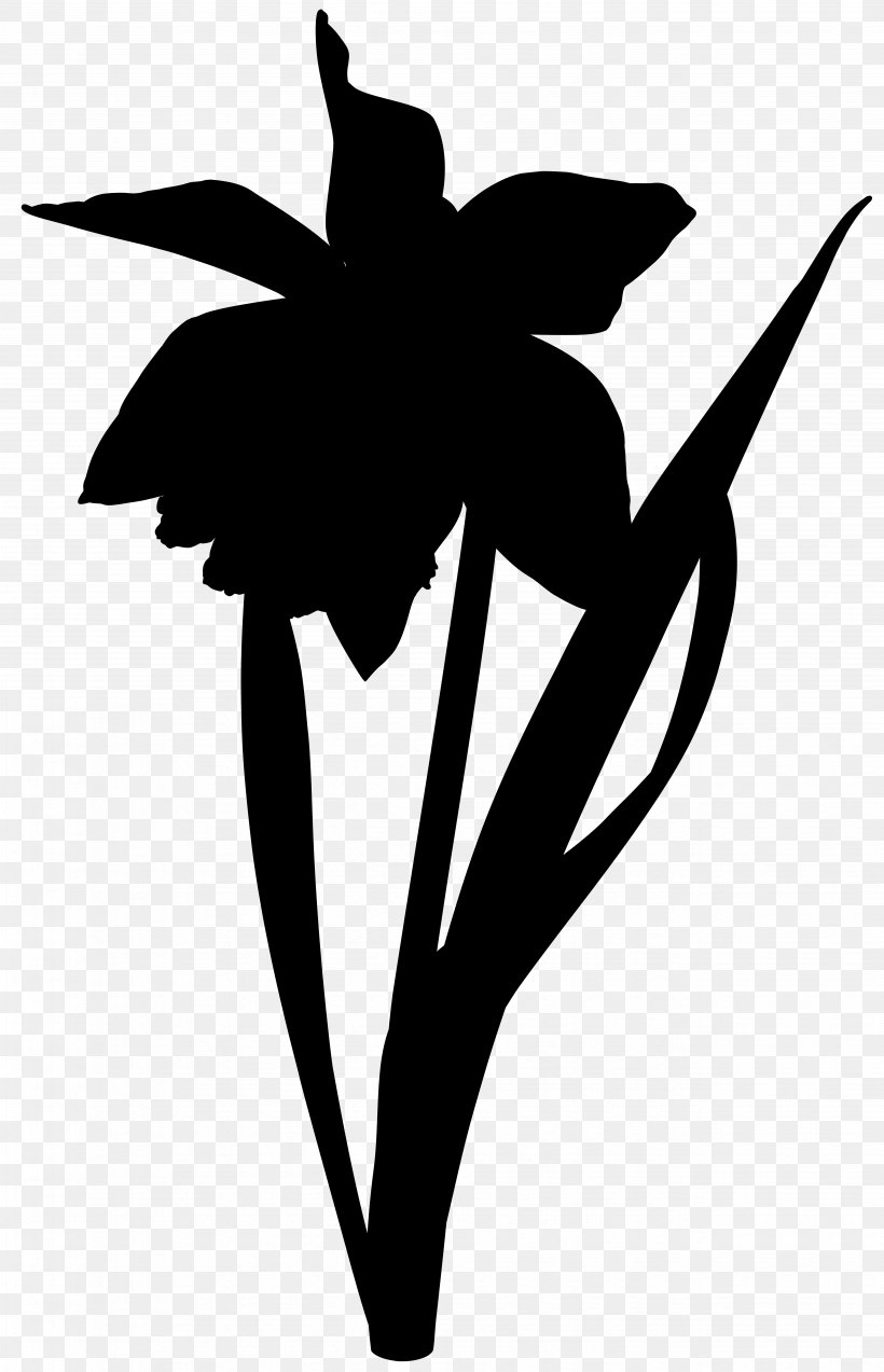 Clip Art Leaf Silhouette Line Plant Stem, PNG, 5153x8000px, Leaf, Amaryllis Family, Blackandwhite, Botany, Flower Download Free