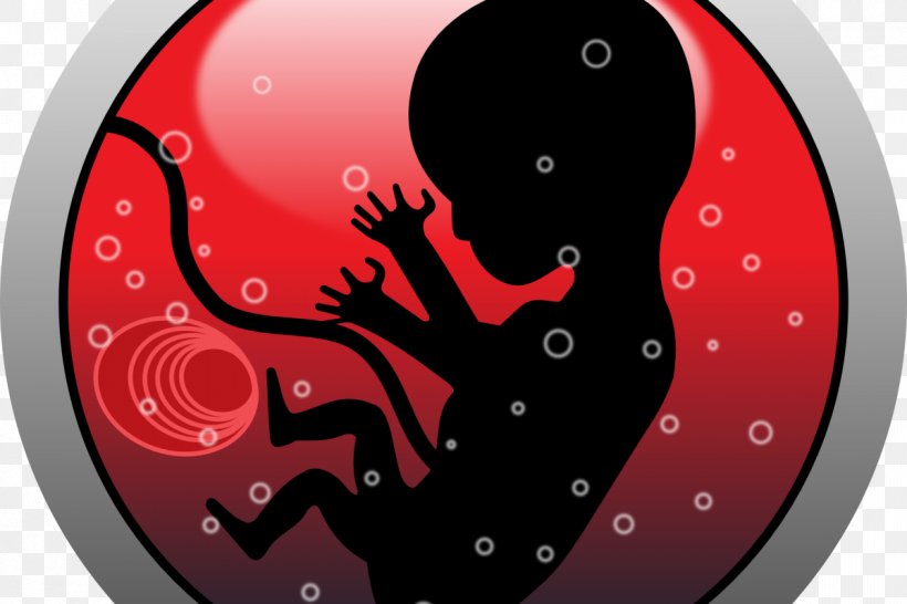 Human Embryogenesis Fetus Uterus Clip Art, PNG, 1200x800px, Watercolor, Cartoon, Flower, Frame, Heart Download Free