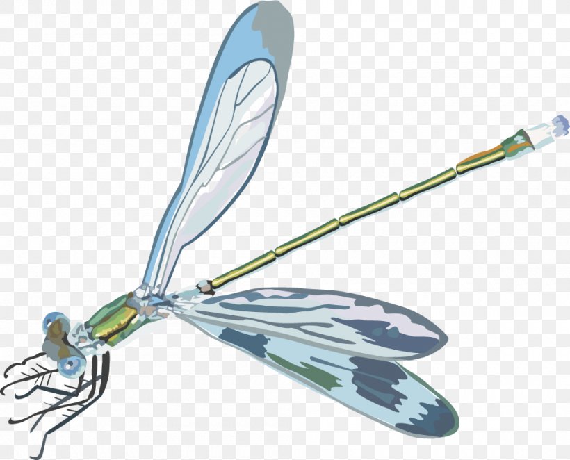 Insect Euclidean Vector Clip Art, PNG, 1000x808px, Insect, Odonate, Sports Equipment, Wing Download Free