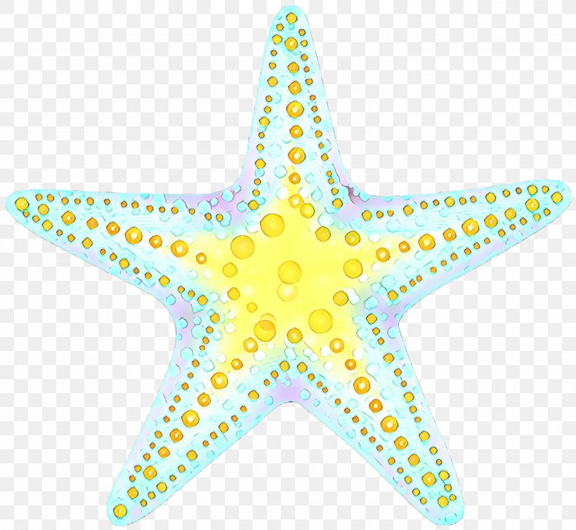 Starfish Body Jewellery Line Point, PNG, 3000x2764px, Starfish, Body Jewellery, Echinoderm, Human Body, Jewellery Download Free