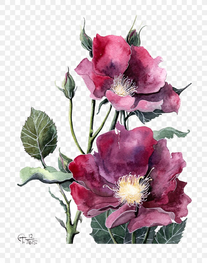 Watercolor Painting Peony Flower Illustration, PNG, 1200x1523px, Watercolor Painting, Artificial Flower, Centifolia Roses, Cut Flowers, Floral Design Download Free