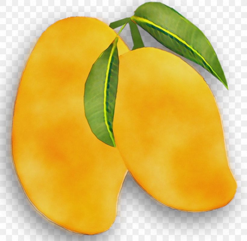 Mango Mangifera Indica Transparency Clip Art, PNG, 1028x1004px, Mango, Ataulfo, Citrus, Color, Food Download Free