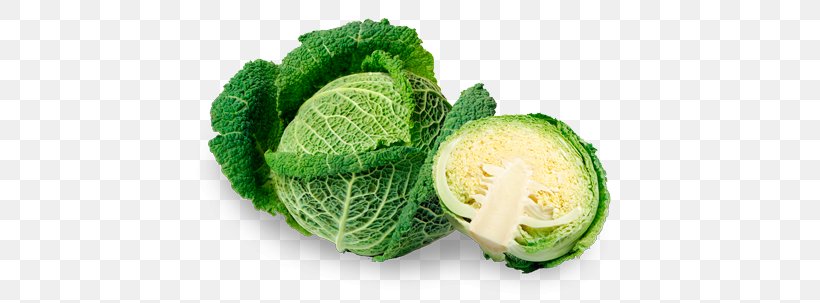 Savoy Cabbage Vegetable Capitata Group Variety Sauerkraut, PNG, 450x303px, Savoy Cabbage, Brassica, Brassica Oleracea, Brussels Sprout, Cabbage Download Free