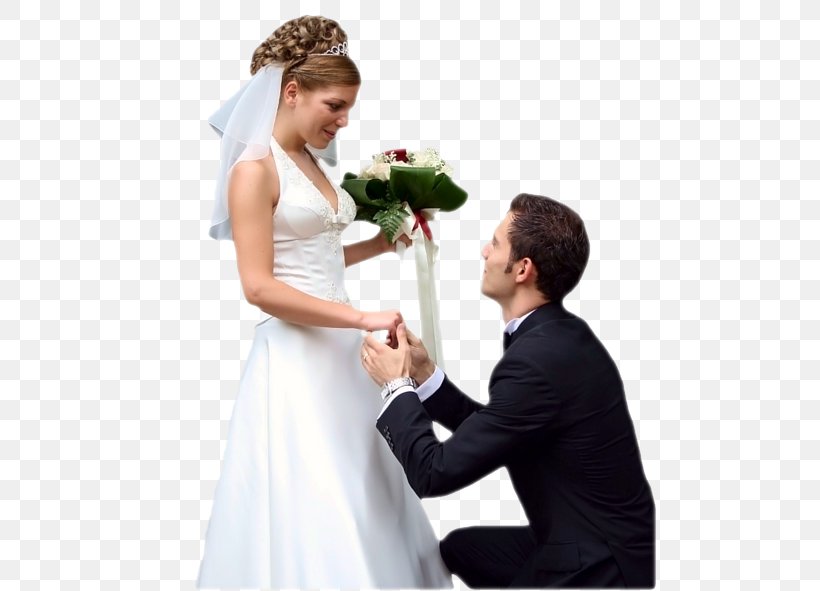 Wedding Dress Marriage Bridegroom, PNG, 495x591px, Wedding, Bridal Clothing, Bride, Bridegroom, Ceremony Download Free