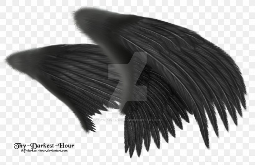 Desktop Wallpaper Clip Art, PNG, 1024x662px, Wing, Angel Wing, Black, Black And White, Brush Download Free