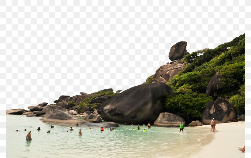 Island Beach Download, PNG, 780x518px, Island, Beach, Beak, Bird, Fauna Download Free