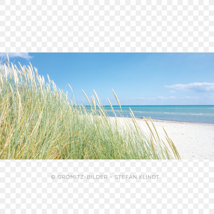 Lensterstrand Dune Calendar Coil Binding Beach, PNG, 1240x1240px, 2017 Audi A3, Dune, Beach, Calendar, Calm Download Free