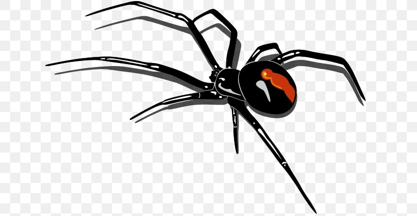 Redback Spider Clip Art, PNG, 650x425px, Spider, Arachnid, Arthropod, Black Widow, Display Resolution Download Free