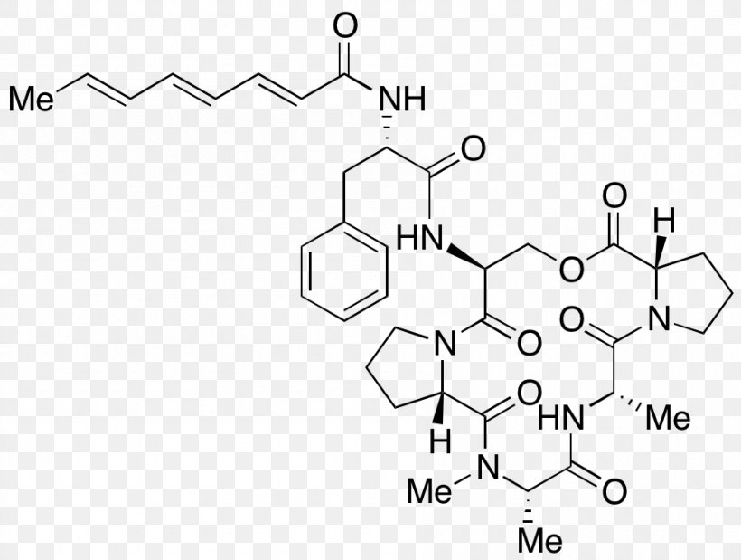 Toronto Research Chemicals Inc /m/02csf Drawing, PNG, 897x678px, Toronto Research Chemicals Inc, Area, Black And White, Cannabis Drug Testing, Diagram Download Free