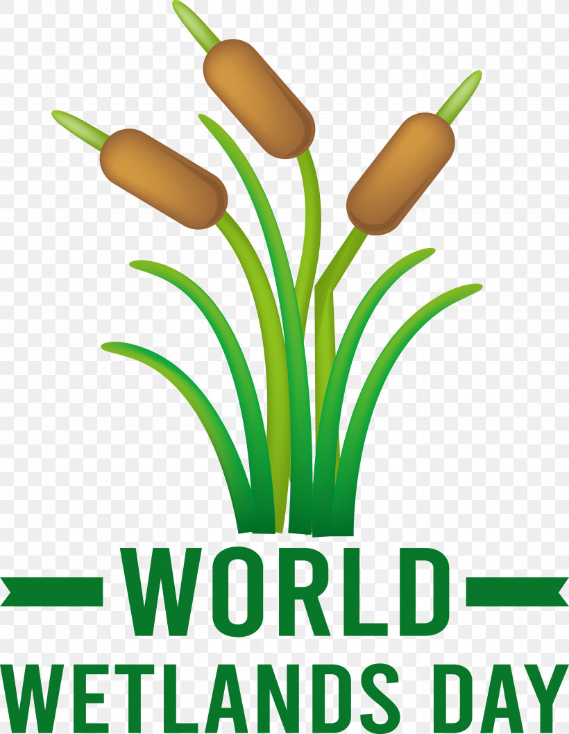 World Wetlands Day, PNG, 5480x7066px, World Wetlands Day Download Free