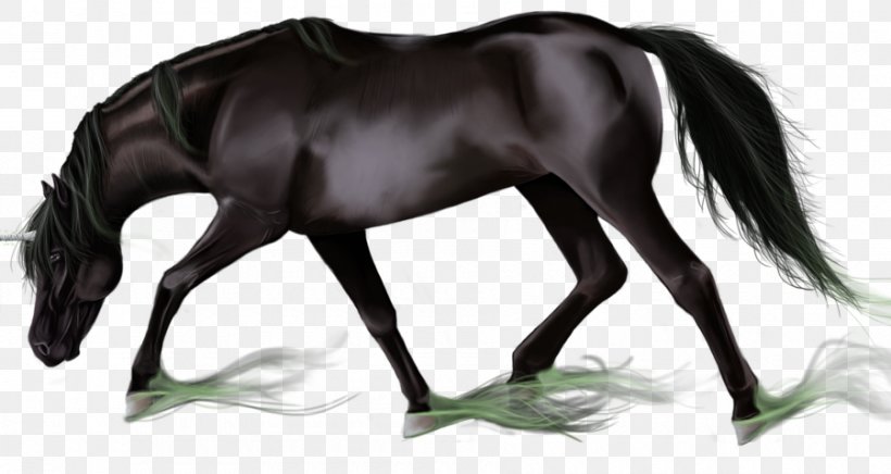 Mane Mustang Stallion Foal Mare, PNG, 900x479px, Mane, Bridle, Colt, Foal, Grass Download Free