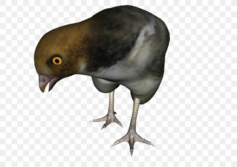 Dove Bird, PNG, 1600x1131px, Beak, Animal, Bird, Character, Cranelike Bird Download Free
