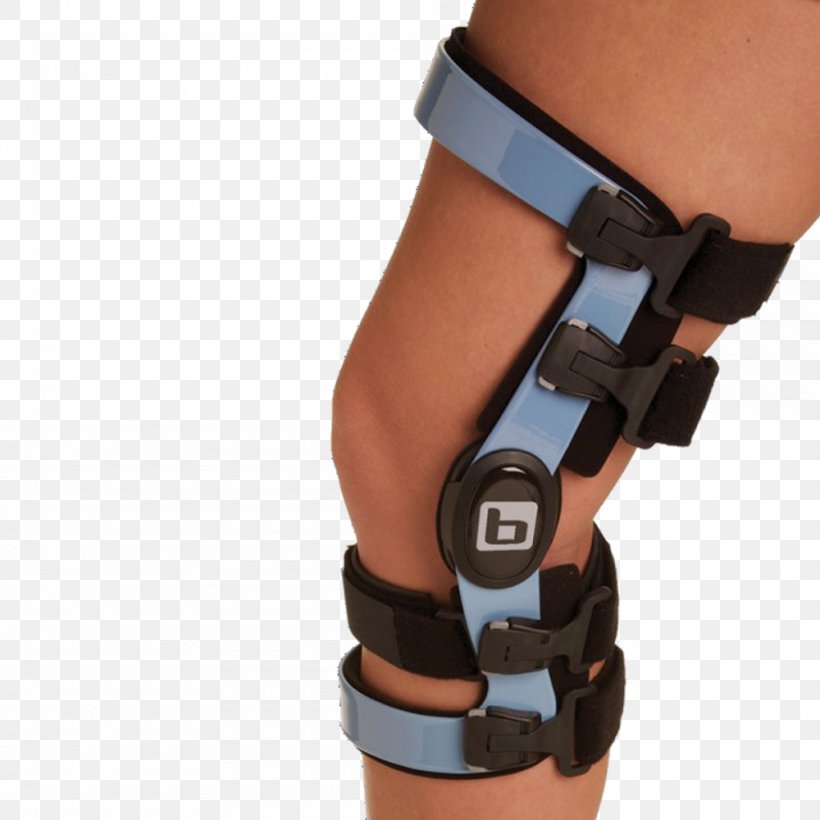 Knee Arthritis Osteoarthritis Anterior Cruciate Ligament Knee Pain, PNG, 1000x1000px, Knee, Ankle, Anterior Cruciate Ligament, Arm, Arthritis Download Free