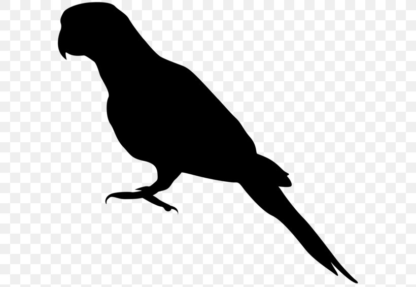 Parrot Bird Drawing Silhouette Clip Art, PNG, 600x565px, Parrot, Art, Beak, Bird, Black And White Download Free