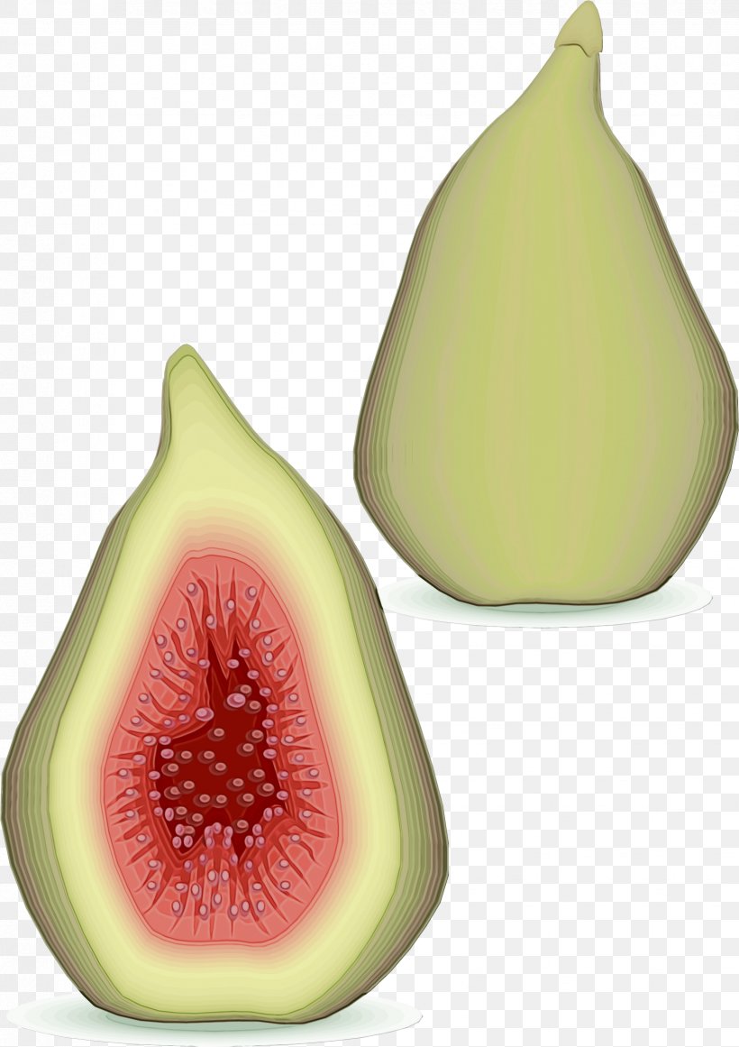 Pear Pear Fruit Common Fig Plant, PNG, 1648x2335px, Watercolor, Accessory Fruit, Common Fig, Fig, Food Download Free