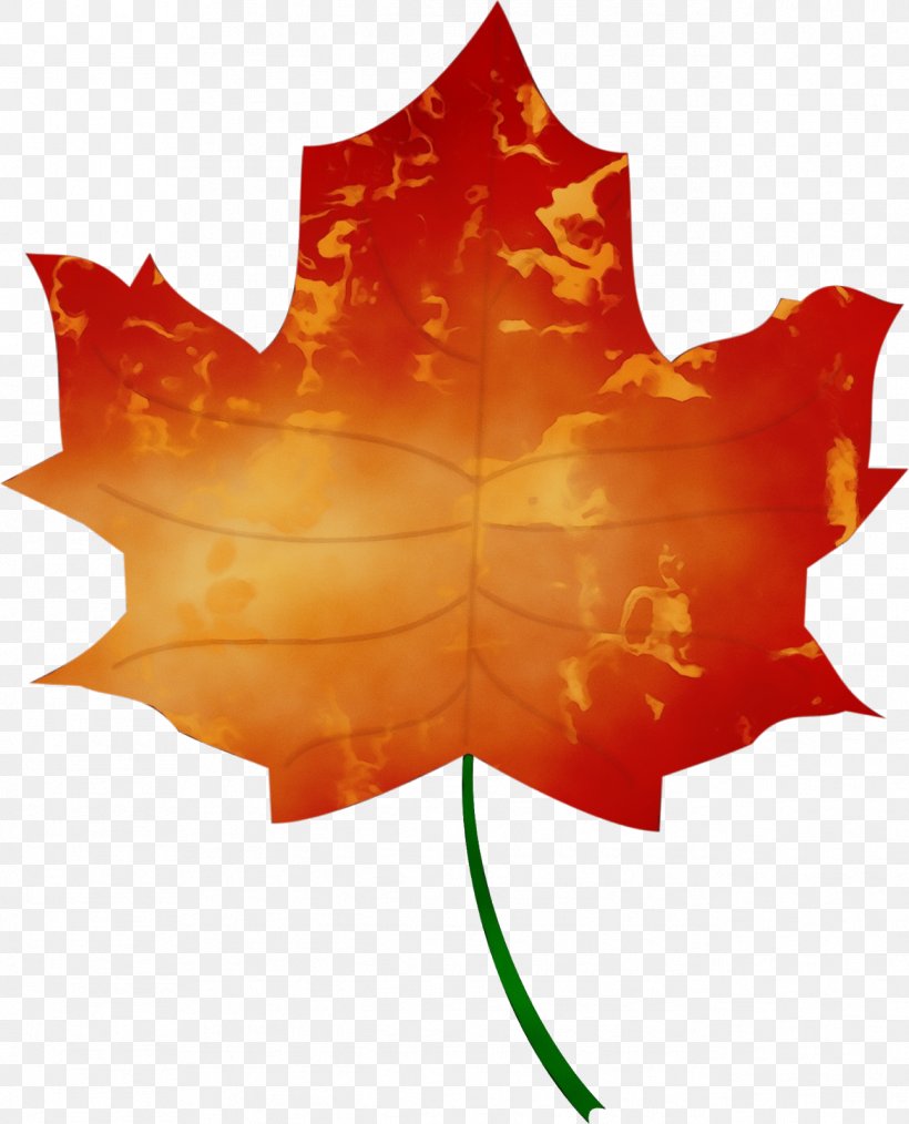Autumn Leaf Drawing, PNG, 1293x1600px, Autumn, Autumn Leaf Color, Black Maple, Drawing, Leaf Download Free
