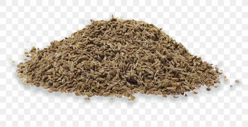 Garam Masala Fennel Anise Herb Cumin, PNG, 1100x566px, Garam Masala, Anise, Cumin, Fennel, Fenugreek Download Free