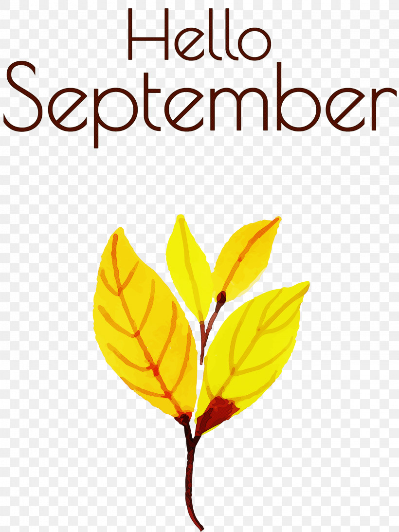 Hello September September, PNG, 2249x3000px, Hello September, Biology, Flower, Geometry, Leaf Download Free
