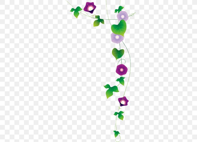 Ipomoea Nil Euclidean Vector Flower, PNG, 591x591px, Watercolor, Cartoon, Flower, Frame, Heart Download Free
