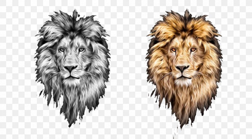 Lions Head Lionhead Rabbit, PNG, 1000x556px, Lion, Big Cat, Big Cats, Carnivoran, Cat Like Mammal Download Free