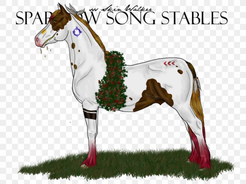 Pony Mustang Stallion Foal Colt, PNG, 900x674px, Pony, Birthday, City, Colt, Dumbbell Download Free