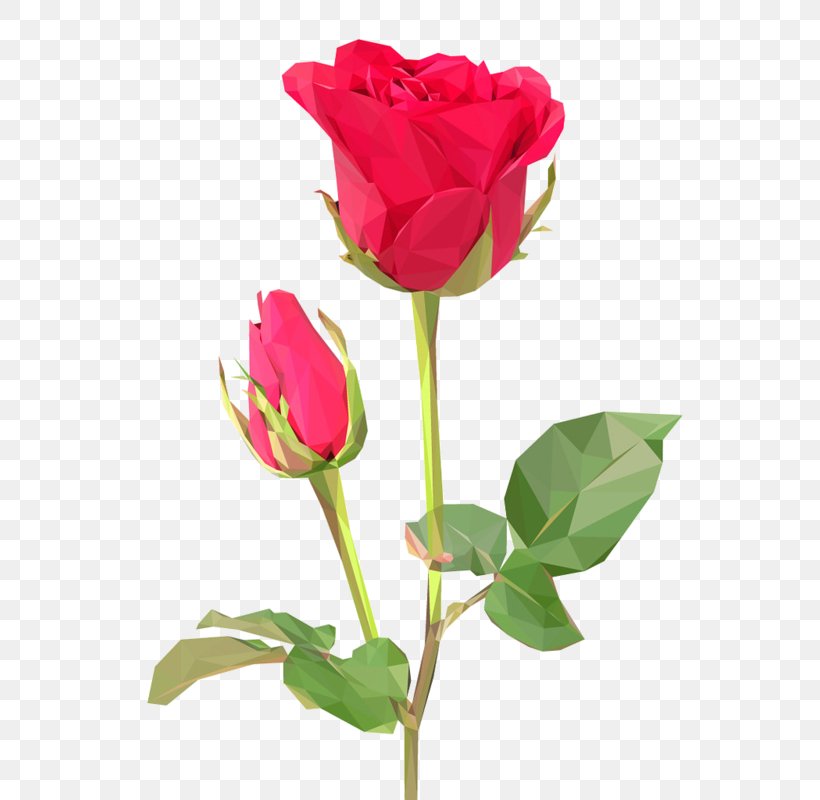 Rose Flower Bouquet Desktop Wallpaper Stock Photography, PNG, 600x800px, Rose, Bud, China Rose, Cut Flowers, Drawing Download Free