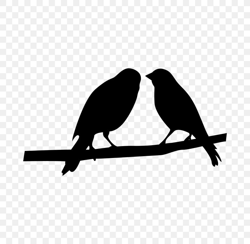 Bird Beak Black Branch Songbird, PNG, 800x800px, Bird, Beak, Black, Branch, Logo Download Free