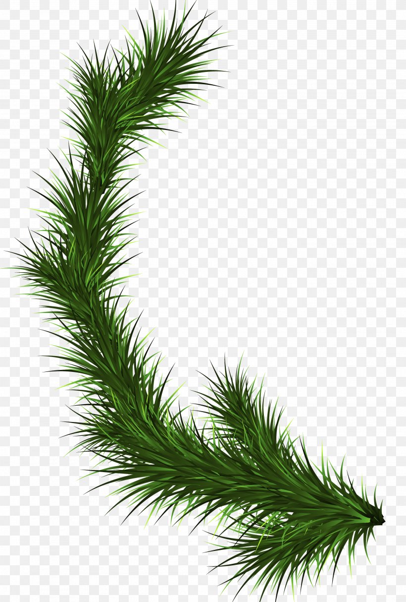 Branch Fir Tree Pine Clip Art, PNG, 2700x4000px, Branch, Christmas, Conifer, Conifer Cone, Conifers Download Free