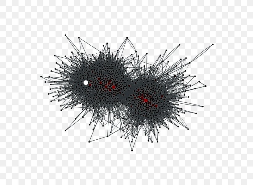Graph-tool Centrality Computer Network Vertex, PNG, 600x600px, Graphtool, Betweenness Centrality, Black, Black And White, Centrality Download Free