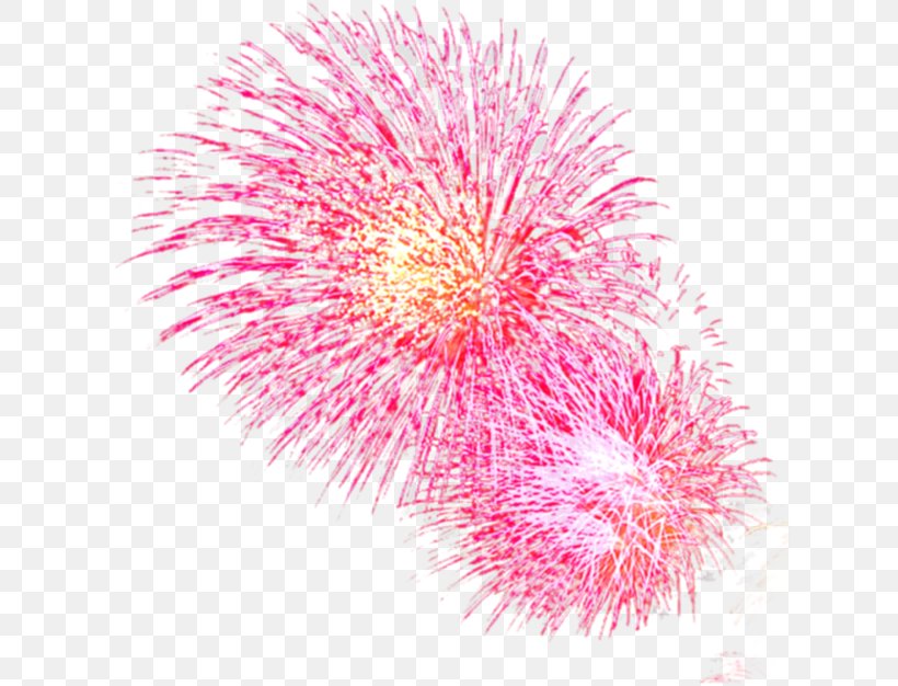 Pink Light Fireworks Red, PNG, 626x626px, Pink, Animation, Artificier, Color, Fire Download Free