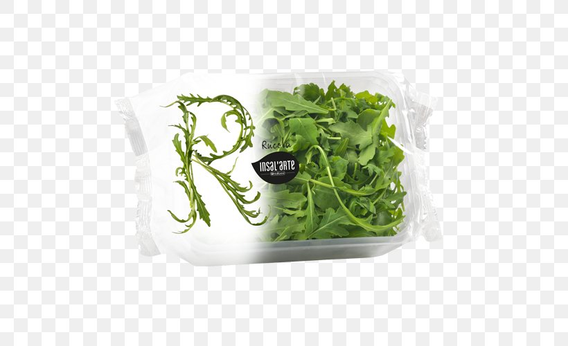 Romaine Lettuce Arugula Salad Vegetable Spinach, PNG, 500x500px, Romaine Lettuce, Arugula, Butterhead Lettuce, Food, Fruit Download Free