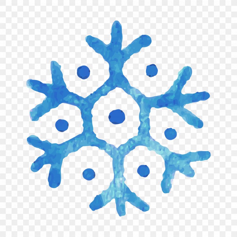 Snowflake Illustration Vector Graphics Image, PNG, 2000x2000px, Snowflake, Blue, Color, Electric Blue, Organism Download Free