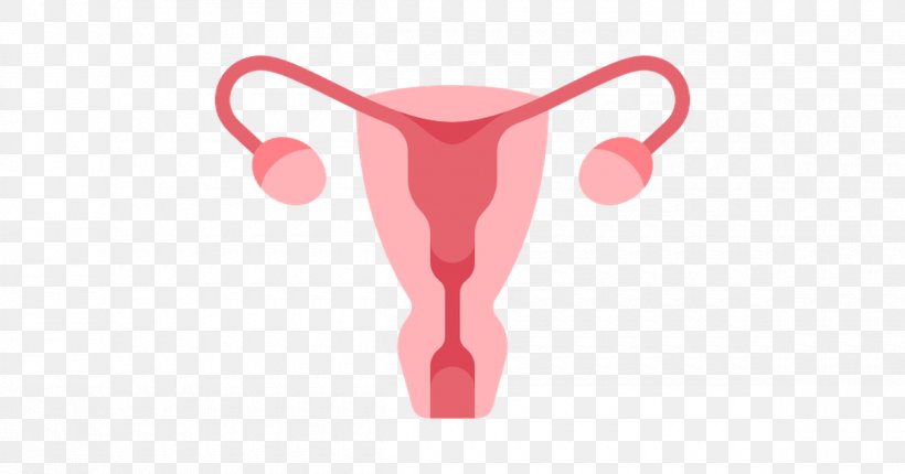 Uterus Endometrium Ovary Obstetrics And Gynaecology Clip Art, PNG, 1200x630px, Uterus, Cervix, Drawing, Ectopic Pregnancy, Endometrium Download Free