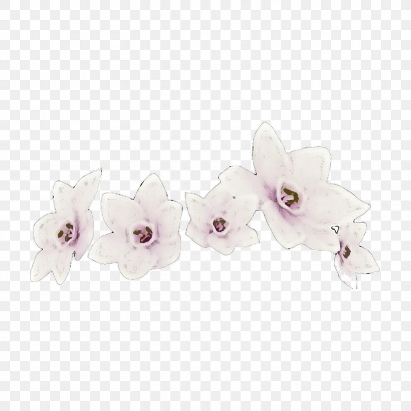 White Violet Pink Lilac Flower, PNG, 1024x1024px, White, Blossom, Branch, Cattleya, Cut Flowers Download Free