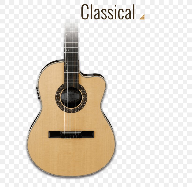 Acoustic Guitar Bass Guitar Tiple Acoustic-electric Guitar Cavaquinho, PNG, 670x798px, Watercolor, Cartoon, Flower, Frame, Heart Download Free