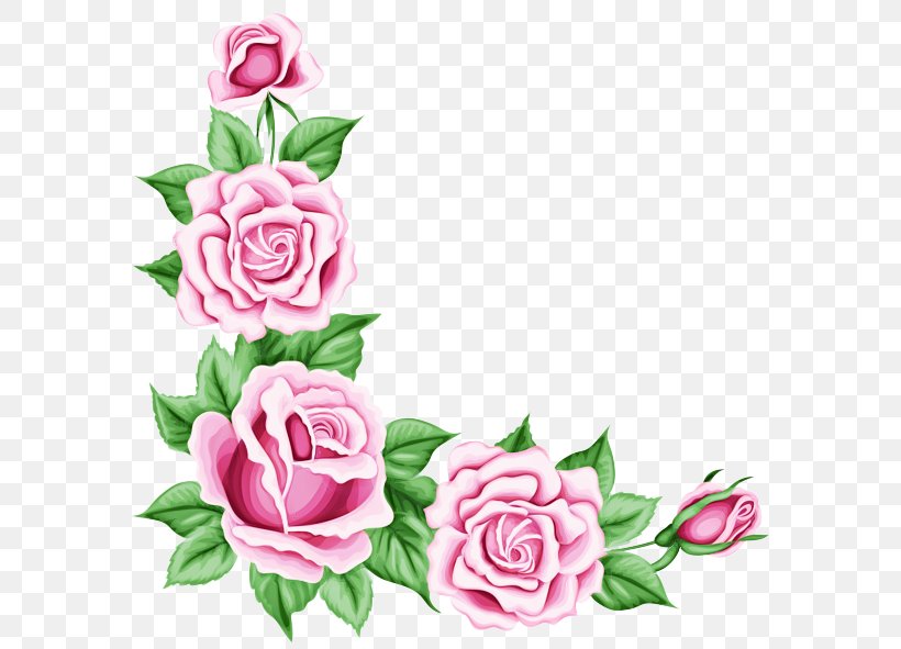 Black Rose Drawing, PNG, 600x591px, Rose, Black Rose, Borders And Frames, Cut Flowers, Drawing Download Free